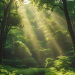 Forest Light – Dreamscapes Collection