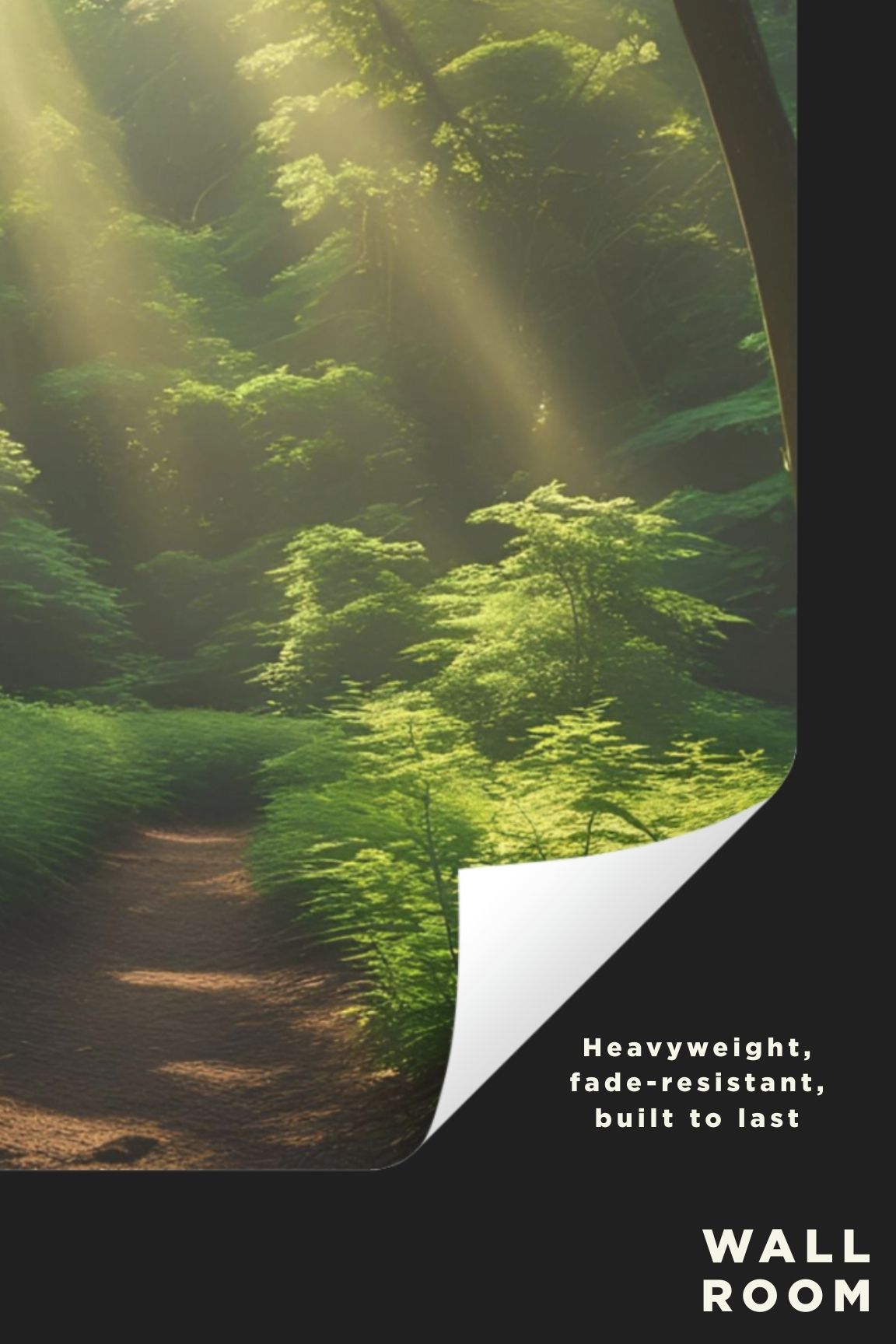 Forest Light – Dreamscapes Collection
